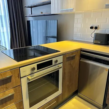 2+1 Laden Roof Terrace Apartment